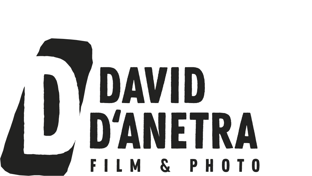 logo David